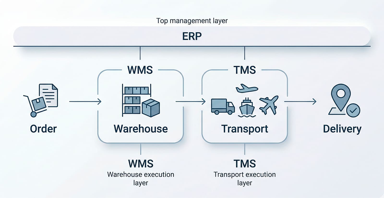 infografía comparativa de los roles de WMS y TMS en la gestión del almacén y del transporte