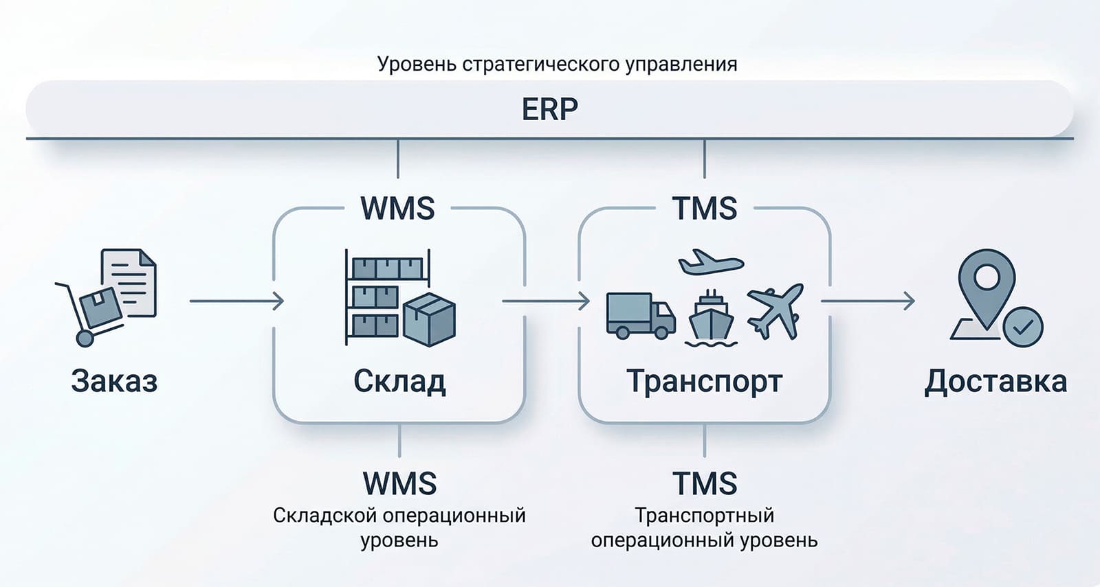 инфорграфика сравнение ролей WMS и TMS в управлении складом и перевозкой